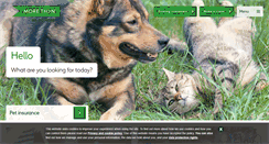 Desktop Screenshot of morethan.com